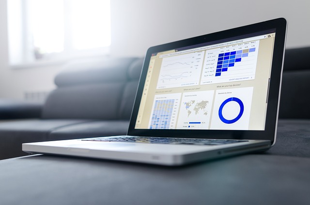 Navigating the Business Maze: The Importance of Professional Advice in Business Growth